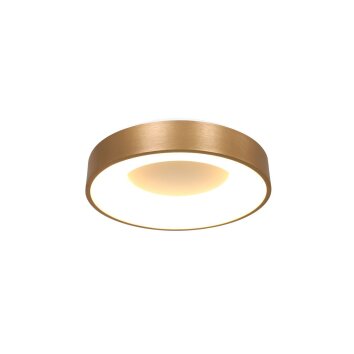 Steinhauer Ringlede Plafoniera Oro, 1-Luce