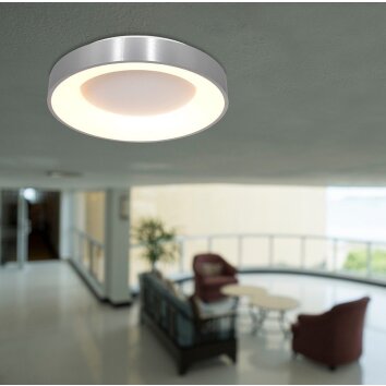 Steinhauer Ringlede Plafoniera Acciaio inox, 1-Luce