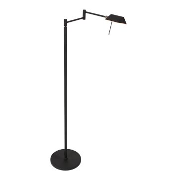 Steinhauer Retina Lampada da terra LED Nero, 1-Luce