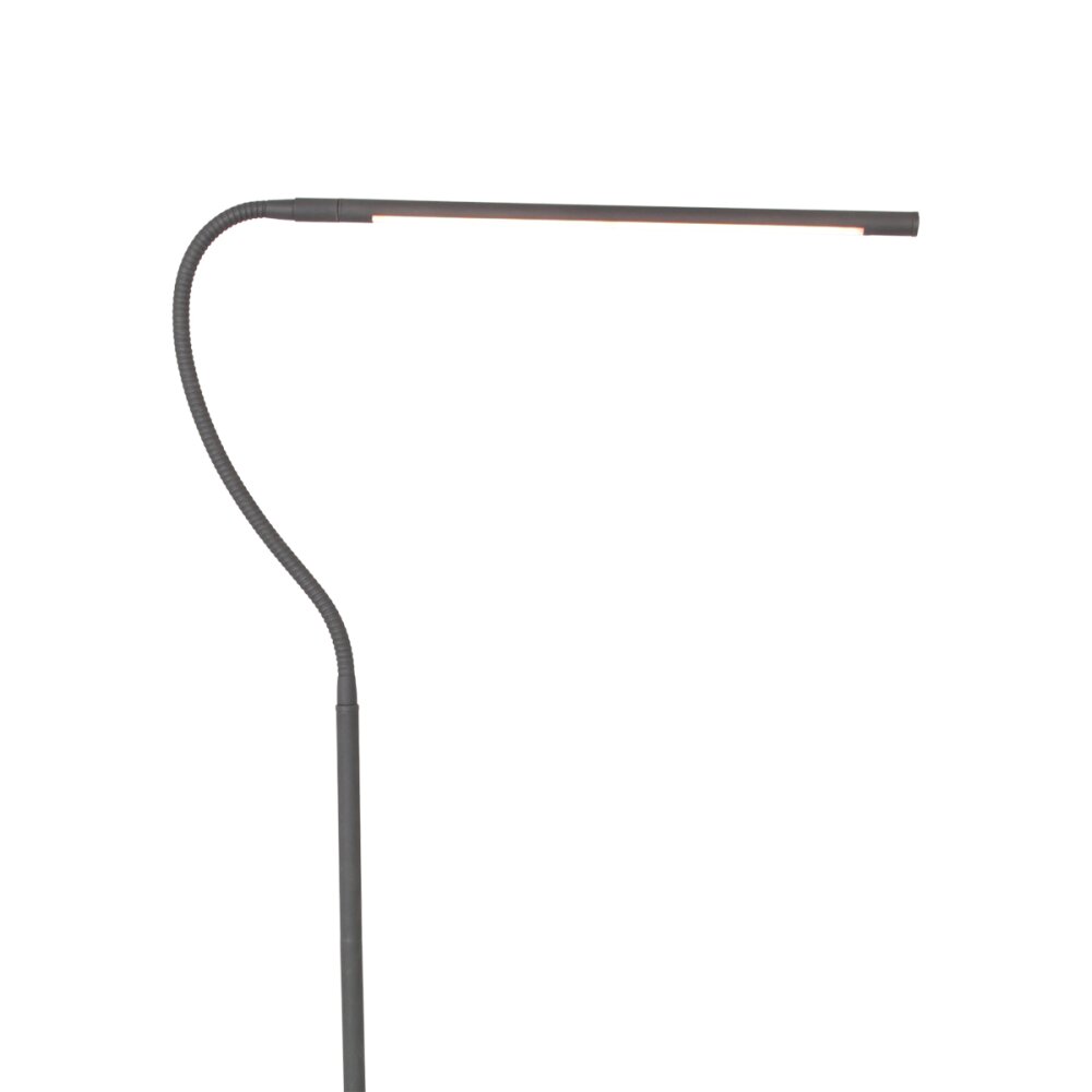 Steinhauer Serpent Lampada da terra LED Nero, 1-Luce