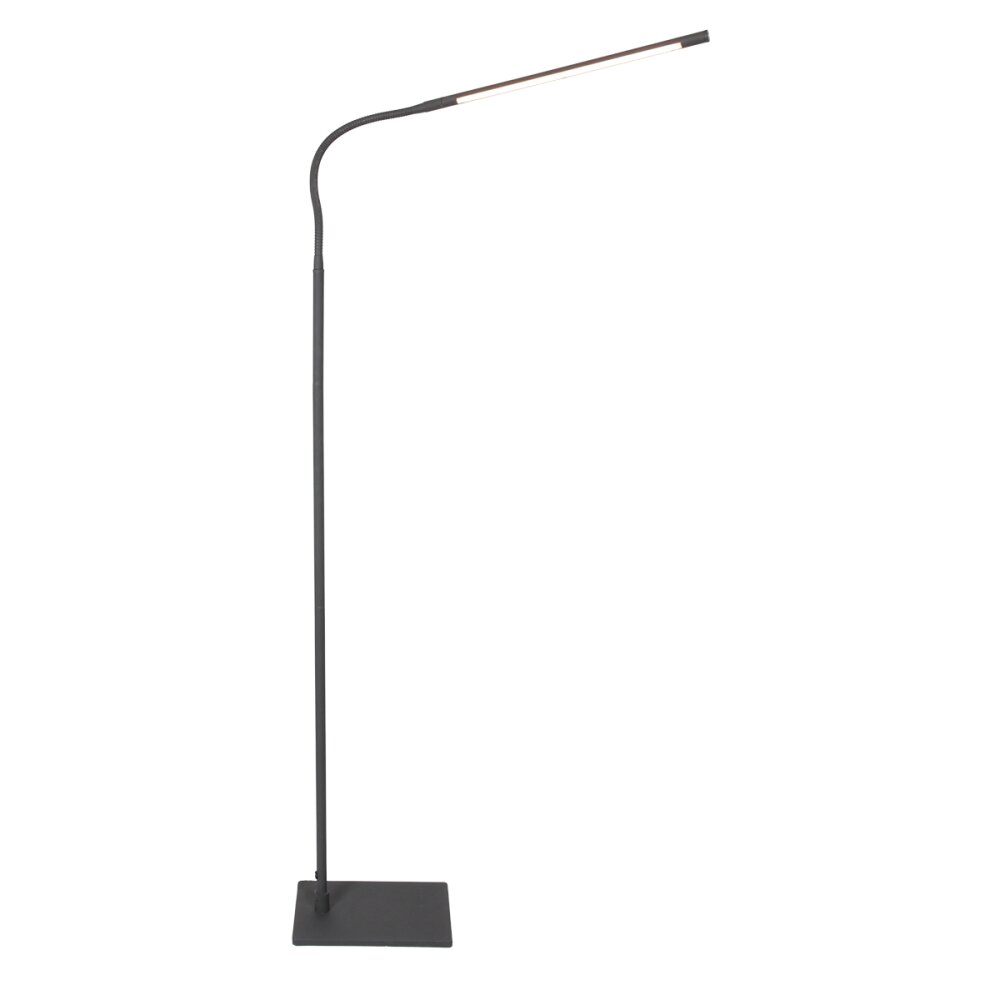 Steinhauer Serpent Lampada da terra LED Nero, 1-Luce
