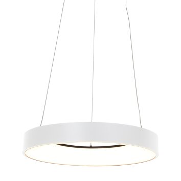 Steinhauer Ringlede Lampada a Sospensione Bianco, 1-Luce