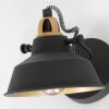 Steinhauer Nové Applique Oro, Nero, 1-Luce