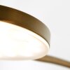 Steinhauer Platu Lampada da terra LED Bronzo, 1-Luce