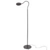 Steinhauer Platu Lampada da terra LED Nero, 1-Luce