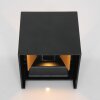 Steinhauer Muro Applique da esterno LED Nero, 2-Luci