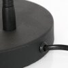 Steinhauer Biron Lampade da tavolo LED Nero, 1-Luce