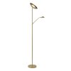 Lucide ZENITH Lampada da terra LED Oro, Ottone, 1-Luce