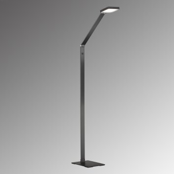 Fischer & Honsel Rike Lampada da terra LED Nero, 1-Luce