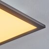 Ringuelet Plafoniera LED Nero, Bianco, 1-Luce, Telecomando