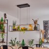 Ranquile Lampada a Sospensione LED Nero, 4-Luci
