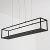Ranquile Lampada a Sospensione LED Nero, 4-Luci