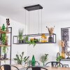 Ranquile Lampada a Sospensione LED Nero, 4-Luci
