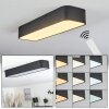 Iriondo Plafoniera LED Nero, 1-Luce, Telecomando