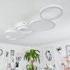 Carabajal Plafoniera LED Bianco, 1-Luce