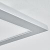 Wilderswil Plafoniera LED Bianco, 1-Luce