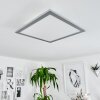 Wilderswil Plafoniera LED Bianco, 1-Luce