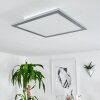 Wilderswil Plafoniera LED Bianco, 1-Luce