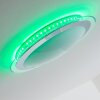 Vittangi Plafoniera LED Bianco, 1-Luce, Cambia colore
