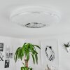 Auxerre Plafoniera LED Bianco, 1-Luce