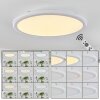 Telsen Plafoniera LED Bianco, 2-Luci, Telecomando, Cambia colore