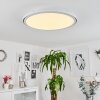 Telsen Plafoniera LED Bianco, 2-Luci, Telecomando, Cambia colore