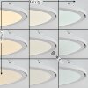 Telsen Plafoniera LED Bianco, 2-Luci, Telecomando, Cambia colore