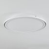 Telsen Plafoniera LED Bianco, 2-Luci, Telecomando, Cambia colore