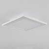 Telsen Plafoniera LED Bianco, 2-Luci, Telecomando, Cambia colore
