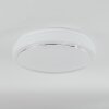Nepes Plafoniera LED Bianco, 1-Luce