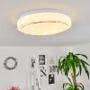 Nepes Plafoniera LED Bianco, 1-Luce