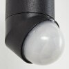 Theux Applique da esterno Oro, Nero, 1-Luce, Sensori di movimento