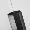 Freshwater Lampada a Sospensione LED Nero, 5-Luci