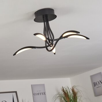 Oetling Plafoniera LED Nero, 1-Luce