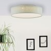 Brilliant Baska Plafoniera LED Argento, 1-Luce