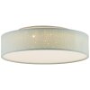 Brilliant Baska Plafoniera LED Argento, 1-Luce