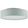 Brilliant Baska Plafoniera LED Argento, 1-Luce