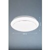 Fischer & Honsel Tivoli Plafoniera LED Bianco, 1-Luce