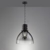 Fischer & Honsel Londo Lampada a Sospensione Nero, 1-Luce