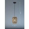 Fischer & Honsel Hummel Lampada a Sospensione Nero, 1-Luce