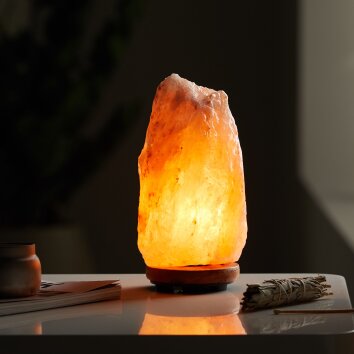 Globo STONE Lampada da tavolo Legno scuro, 1-Luce