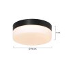 Steinhauer Ikaro Plafoniera LED Nero, 1-Luce