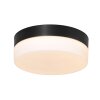 Steinhauer Ikaro Plafoniera LED Nero, 1-Luce