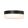 Steinhauer Ikaro Plafoniera LED Nero, 1-Luce