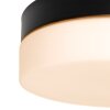 Steinhauer Ikaro Plafoniera LED Nero, 1-Luce