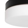 Steinhauer Ikaro Plafoniera LED Nero, 1-Luce