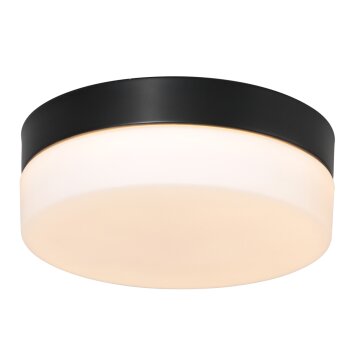 Steinhauer Ikaro Plafoniera LED Nero, 1-Luce