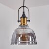 Trejos Lampadario a sospensione Ottone, Nero, 1-Luce