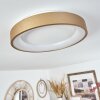 Charata Plafoniera LED Bianco, 1-Luce