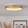 Charata Plafoniera LED Bianco, 1-Luce